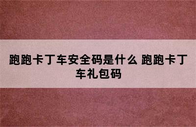 跑跑卡丁车安全码是什么 跑跑卡丁车礼包码